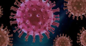 Read more about the article CORONAVIRUS CASES IN INDIA: भारत का रिकवरी रेट पहुंचा 52% के पार