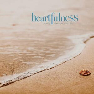 Read more about the article OCEAN OF PEACE