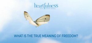 Read more about the article WHAT IS THE TRUE MEANING OF FREEDOM?
