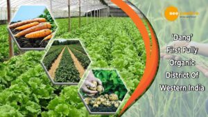 Read more about the article GUJARAT’S DANG DECLARED ORGANIC FARMING DISTRICT