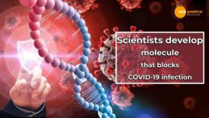 Read more about the article SCIENTISTS DEVELOP A MOLECULE THAT BLOCKS AND PREVENTS COVID-19 INFECTION