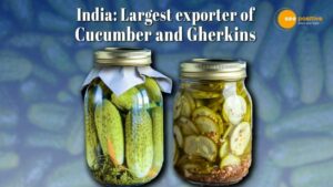 Read more about the article INDIA BECOMES PICKLE KING OF THE WORLD! EMERGES AS LARGEST EXPORTER OF CUCUMBER, GHERKINS