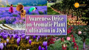 Read more about the article IN J-K GOVERNMENT STARTS AWARENESS DRIVE FOR GROWERS ON CULTIVATION, PROCESSING OF AROMATIC PLANTS