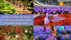 Read more about the article सुगंधित पौधों की खेती से युवाओं को जागरूक करेगा जम्मू-कश्मीर!