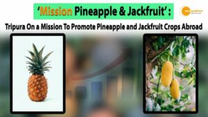 Read more about the article MISSION PINEAPPLE & JACKFRUIT: TRIPURA GOVERNMENT LAUNCHES MISSION TO BOOST CROP EXPORTS