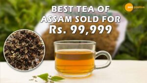 Read more about the article 99,999 रुपए में बेची गई असम की बेस्ट टी, भारत में चाय की पत्ती के लिए सबसे बड़ी बोली!