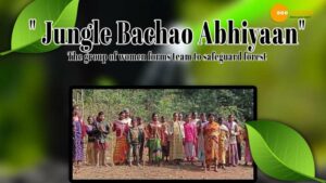 Read more about the article JUNGLE BACHAO ABHIYAAN: JHARKHAND WOMEN TEAMS UP TO SAFEGUARD THE FOREST