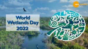 Read more about the article WORLD WETLANDS DAY 2022: HOW WETLANDS AID IN CLIMATE CHANGE MITIGATION