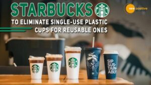 Read more about the article STARBUCKS TO ELIMINATE SINGLE-USE PLASTIC CUPS FOR REUSABLE ONES