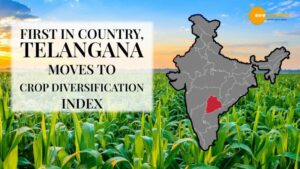 Read more about the article FIRST IN COUNTRY, TELANGANA MOVES TO CROP DIVERSIFICATION INDEX