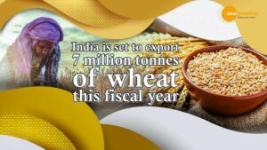 Read more about the article THIS YEAR, INDIA IS SET TO EXPORT A RECORD 7 MILLION TONNES OF WHEAT