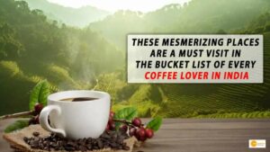 Read more about the article THESE MESMERIZING PLACES ARE A MUST VISIT IN THE BUCKET LIST OF EVERY COFFEE LOVER IN INDIA