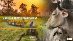 Read more about the article मध्य प्रदेश सरकार किसानों की मदद के लिए उठा रही है कदम, ‘देसी’ गाय पालने के लिए किसानों को ₹900 देगी प्रति माह
