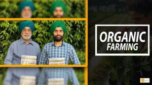 Read more about the article A SIMPLE IDEA FROM A FATHER-SON TEAM COULD HELP ORGANIC FARMERS EARN UP TO 194 PERCENT MORE