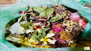 Read more about the article STOPPING FLOWERS FROM RELIGIOUS PLACES TURNING INTO WASTE, PROJECT MEHR