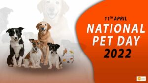 Read more about the article NATIONAL PET DAY 2022: DATE, HISTORY, SIGNIFICANCE AND FUN ACTIVITIES TO STRENGTHEN BOND WITH YOUR FURRY FRIEND