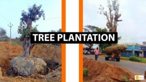 Read more about the article TREE PLANTATION: पेड़ों को बचाने की अनूठी पहल, ट्री प्लांटेशन के जरिये हज़ारो पेड़ो को दूसरी जगह किया जा रहा शिफ़्ट!