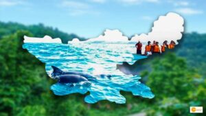 Read more about the article To boost eco-tourism, Jharkhand may have a ‘dolphin safari’ at Sahibganj and Rajmahal