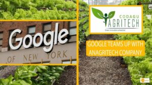 Read more about the article Google Teams Up With an Agritech Company to Bring Technology-Led Solutions to India’s Farmland