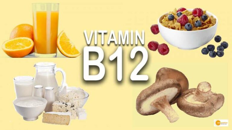 Read more about the article जरूरी है विटामिन B12, शाकाहारियों के लिए ये फूड हैं बेस्टB12सोर्स!