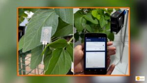 Read more about the article New smart watch by Brazilian scientists, will tell when and how much water plants need