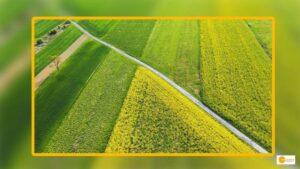Read more about the article The agtech industry is booming, with plenty of room for expansion