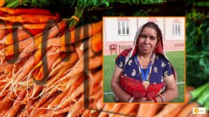 Read more about the article Ghee and honey hack helps farmers earn Rs 20 lakh per year with sweet carrots