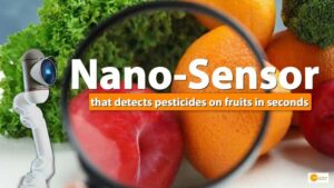 Read more about the article शोधकर्ताओं ने एक नैनो-सेंसर विकसित किया है जो सेकंड में फलों पर कीटनाशकों का पता लगाता है