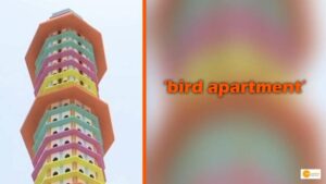Read more about the article Jaipur’s Pinjara Pol Goshala builds 6-storey ‘bird apartment’ to house birds in Jaipur