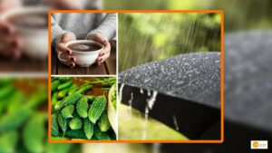 Read more about the article मॉनसून में रखें अपना ख्याल, बैलेंस लाइफ स्टाइल से रह सकते हैं हेल्दी!