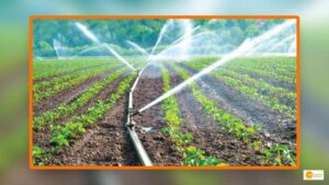 Read more about the article Farmers Will Receive Diesel Subsidies for Irrigation Needs