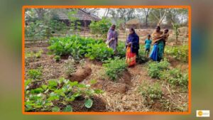 Read more about the article Agri Nutri Garden Project launched in Ernakulam, to motivate tribal women to grow healthy food crops