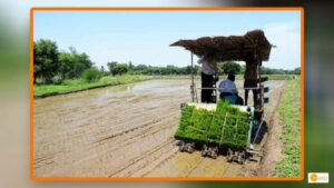 Read more about the article To assist struggling farmers, Telangana Man Creates Paddy-Planting Machine