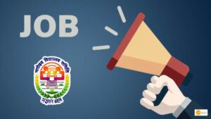 Read more about the article GOV JOBS: नवोदय विद्यालय में शिक्षक बनने का मौका, 1616 पदों पर हो रही है भर्ती, 22 जुलाई तक करें आवेदन!