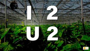 Read more about the article USD 2 billion agricultural park project to be launched in India at I2U2 summit