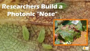 Read more about the article Researchers Build a Photonic “Nose” to Track Crop Diseases and Pests