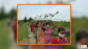 Read more about the article Green Warriors from Sundarban planting Mangroves forest to protect river embarkments