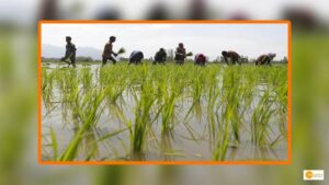 Read more about the article Jharkhand govt to introduce new scheme for farmers affected by drought