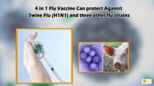 Read more about the article 4 in 1 flu vaccine can protect against Swine Flu (H1N1) and three other flu strains