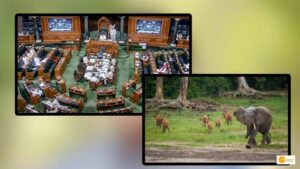 Read more about the article Lok Sabha passed Wild Life (Protection) Amendment Bill