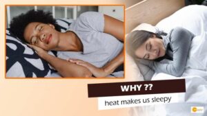 Read more about the article A new study explains why heat makes us sleepy