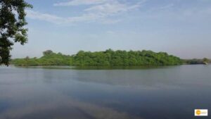 Read more about the article RAMSAR SITES: भारत के 10 वेटलैंड्स को मिला रामसर साइट का दर्जा, पीएम मोदी ने दी बधाई!