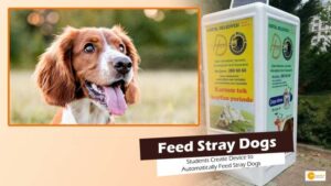 Read more about the article Students Create Device to Automatically Feed Stray Dogs