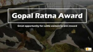 Read more about the article Gopal Ratna Award: Great opportunity for cattle owners to win reward of Rs 5 lakh, Check the conditions