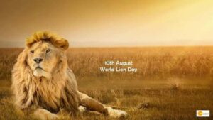 Read more about the article World Lion Day 2022: History and Significance of the day