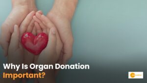 Read more about the article World Organ Donation: The Necessity of Organ Donation!