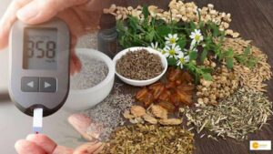 Read more about the article Find out which herbs can manage sugar level for Type 1 and 2 diabetes’