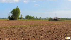 Read more about the article MP Tribal shepherd donates land to quench the long standing thirst of village