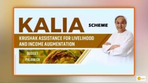 Read more about the article KALIA scheme: Odisha govt. distributed Rs 869 crore to 41 lakh farmers under the scheme