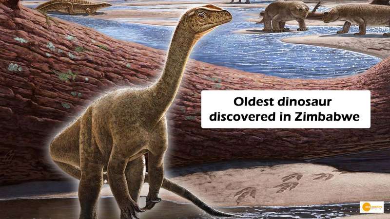 Fossils Of Africa’s Oldest Dinosaur Discovered In Zimbabwe